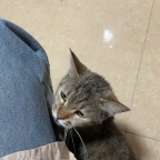 ����ת🙏Сĸè��������