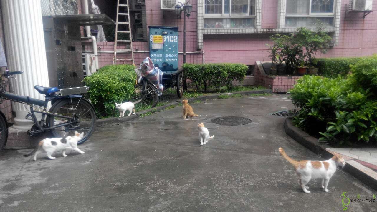 134525pne8qnznceyeen94.jpg